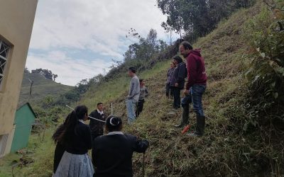 Imagen de WhatsApp 2023-03-15 a las 10.20.04