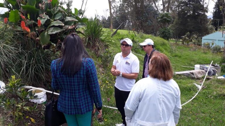 30516256_1709128445829950_8498595399416676352_n